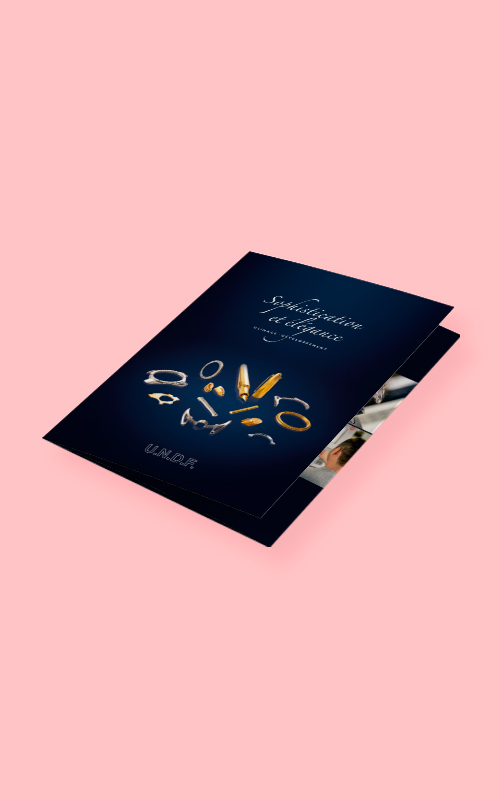 Création d'un flyer pour l'UNDF