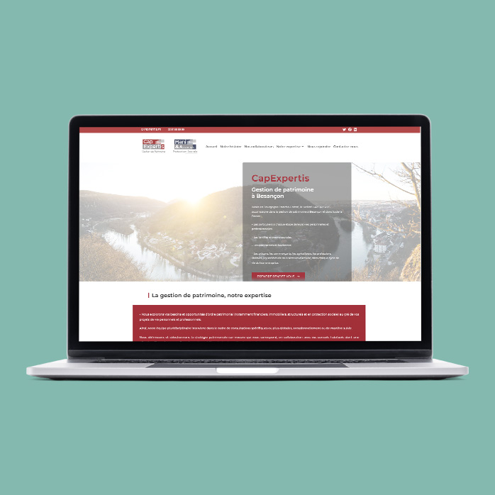 CapExpertis - Référencement site internet